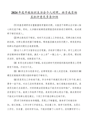 2024年度开展组织生活会个人对照、班子成员相互批评意见多条归纳.docx