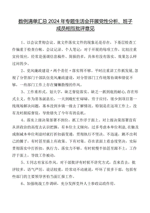 数例清单汇总2024年专题生活会开展党性分析、班子成员相互批评意见.docx