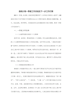 县统计局一季度工作总结及下一步工作打算.docx