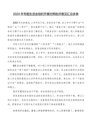 2024年专题生活会组织开展对照批评意见汇总多条.docx