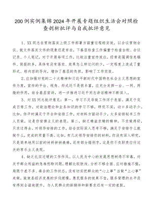 200例实例集锦2024年开展专题组织生活会对照检查剖析批评与自我批评意见.docx