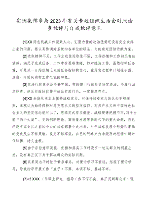 实例集锦多条2023年有关专题组织生活会对照检查批评与自我批评意见.docx