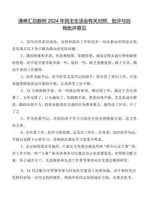 清单汇总数例2024年民主生活会有关对照、批评与自我批评意见.docx