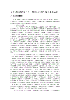 某市政府办副秘书长、副主任2023年度民主生活会对照检查材料.docx