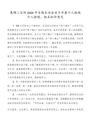 集锦二百例2024年专题生活会关于开展个人检视个人检视、相互批评意见.docx
