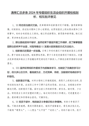 清单汇总多条2024年专题组织生活会组织开展检视剖析、相互批评意见.docx