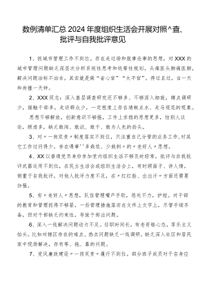 数例清单汇总2024年度组织生活会开展对照检查、批评与自我批评意见.docx
