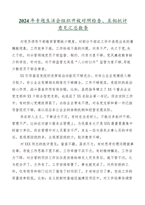 2024年专题生活会组织开展对照检查、互相批评意见汇总数条.docx