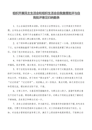 组织开展民主生活会和组织生活会自我查摆批评与自我批评意见归纳数条.docx