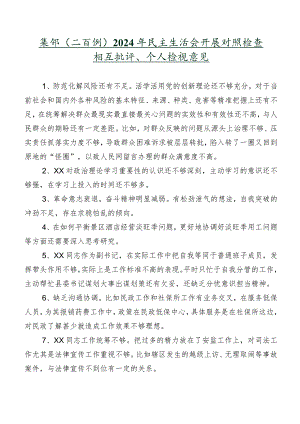 集锦（二百例）2024年民主生活会开展对照检查相互批评、个人检视意见.docx