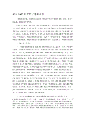 某乡2023年度班子述职报告.docx