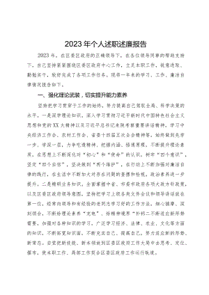政府办副主任2023年个人述职述廉报告.docx