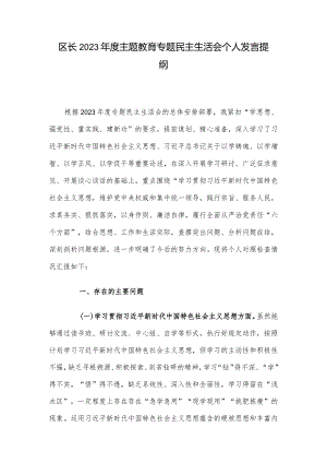 区长2023年度主题教育专题民主生活会个人发言提纲.docx