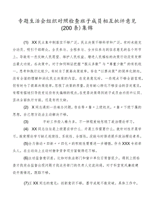 专题生活会组织对照检查班子成员相互批评意见（200条）集锦.docx