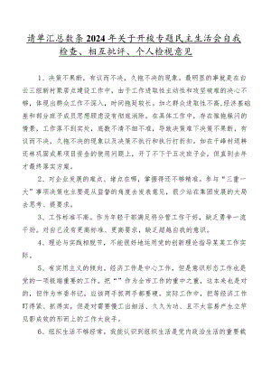 清单汇总数条2024年关于开展专题民主生活会自我检查、相互批评、个人检视意见.docx