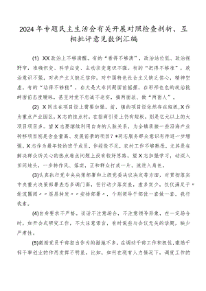 2024年专题民主生活会有关开展对照检查剖析、互相批评意见数例汇编.docx