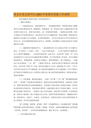某支行党支部书记2023年度基层党建工作述职.docx