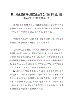 2023年第二批主题教育专题民主生活会03“践行宗旨、服务人民”方面问题剖析43例.docx