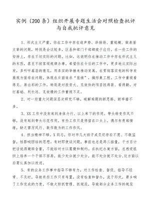 实例（200条）组织开展专题生活会对照检查批评与自我批评意见.docx