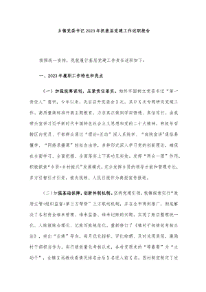 乡镇党委书记2023年抓基层党建工作述职报告.docx