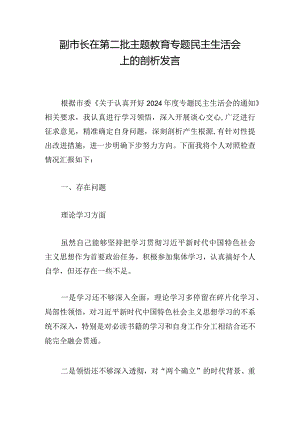 副市长在第二批主题教育专题民主生活会上的剖析发言.docx