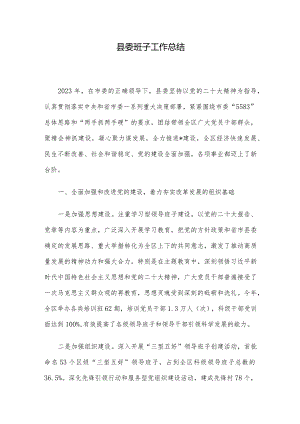 县委班子工作总结.docx