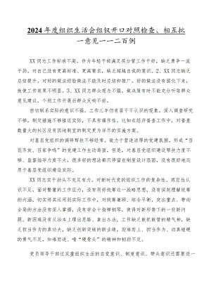 2024年度组织生活会组织开展对照检查、相互批评意见集锦二百例.docx