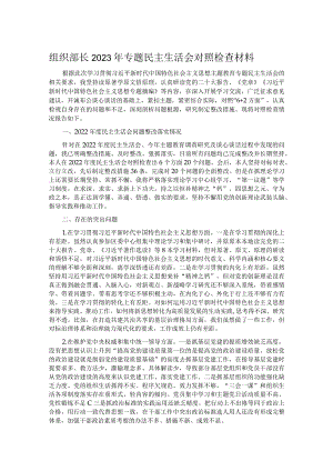 组织部长2023年专题民主生活会对照检查材料.docx