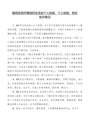 数例实例开展组织生活会个人检视、个人检视、相互批评意见.docx