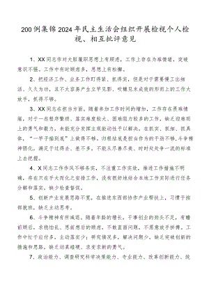 200例集锦2024年民主生活会组织开展检视个人检视、相互批评意见.docx