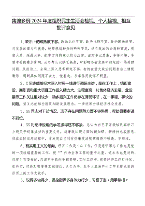 集锦多例2024年度组织民主生活会检视、个人检视、相互批评意见.docx