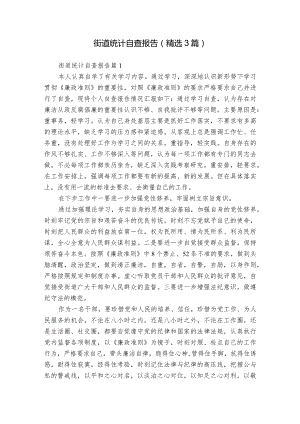 街道统计自查报告（精选3篇）.docx