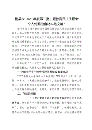 副县长2023年度第二批主题教育民主生活会个人对照检查材料范文2篇.docx