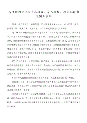 有关组织生活会自我检查、个人检视、相互批评意见实例多例.docx
