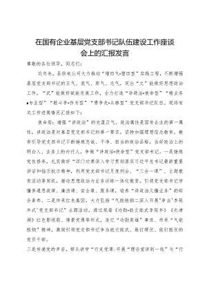 在国有企业基层党支部书记队伍建设工作座谈会上的汇报发言.docx