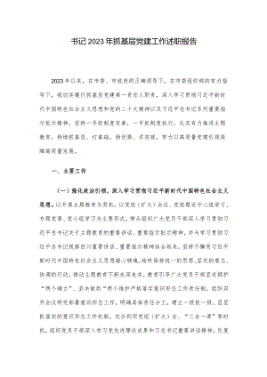 书记2023年抓基层党建工作述职报告.docx