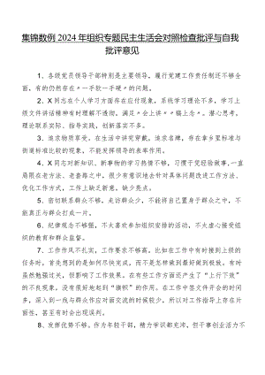 集锦数例2024年组织专题民主生活会对照检查批评与自我批评意见.docx
