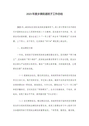 2023年度乡镇街道班子工作总结.docx