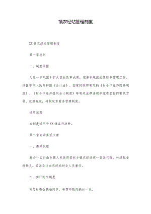镇农经站管理制度.docx