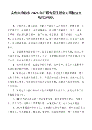 实例集锦数条2024年开展专题生活会对照检查互相批评意见.docx