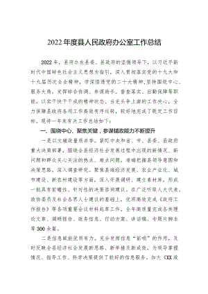 2022年度县人民政府办公室工作总结.docx