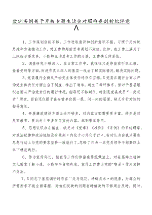 数例实例关于开展专题生活会对照检查剖析批评意见.docx