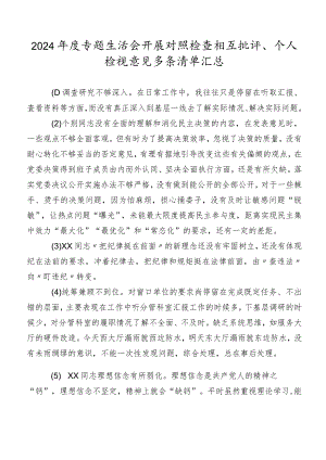 2024年度专题生活会开展对照检查相互批评、个人检视意见多条清单汇总.docx