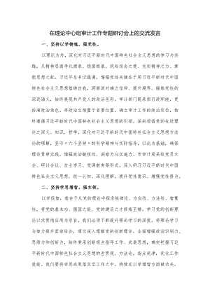 在理论中心组审计工作专题研讨会上的交流发言.docx