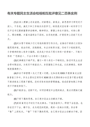 有关专题民主生活会检视相互批评意见二百条实例.docx