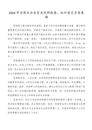 2024年专题生活会有关对照检查、批评意见多条集锦.docx