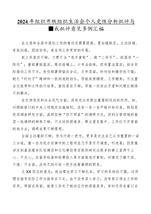 2024年组织开展组织生活会个人党性分析批评与自我批评意见多例汇编.docx