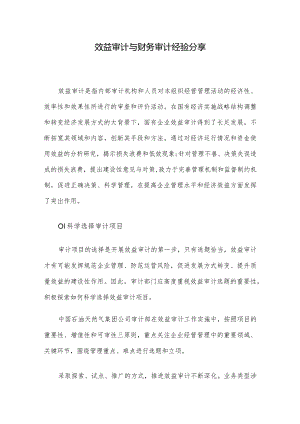 效益审计与财务审计经验分享.docx