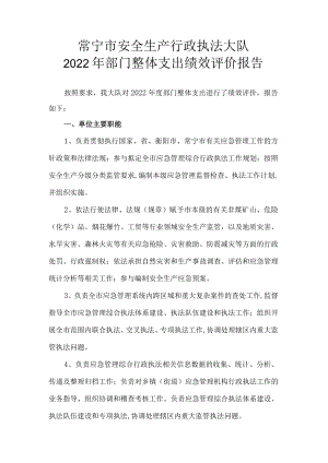 常宁市安全生产行政执法大队2022年部门整体支出绩效评价报告.docx