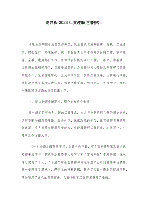 副县长2023年度述职述廉报告.docx